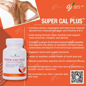 Super Cal Plus